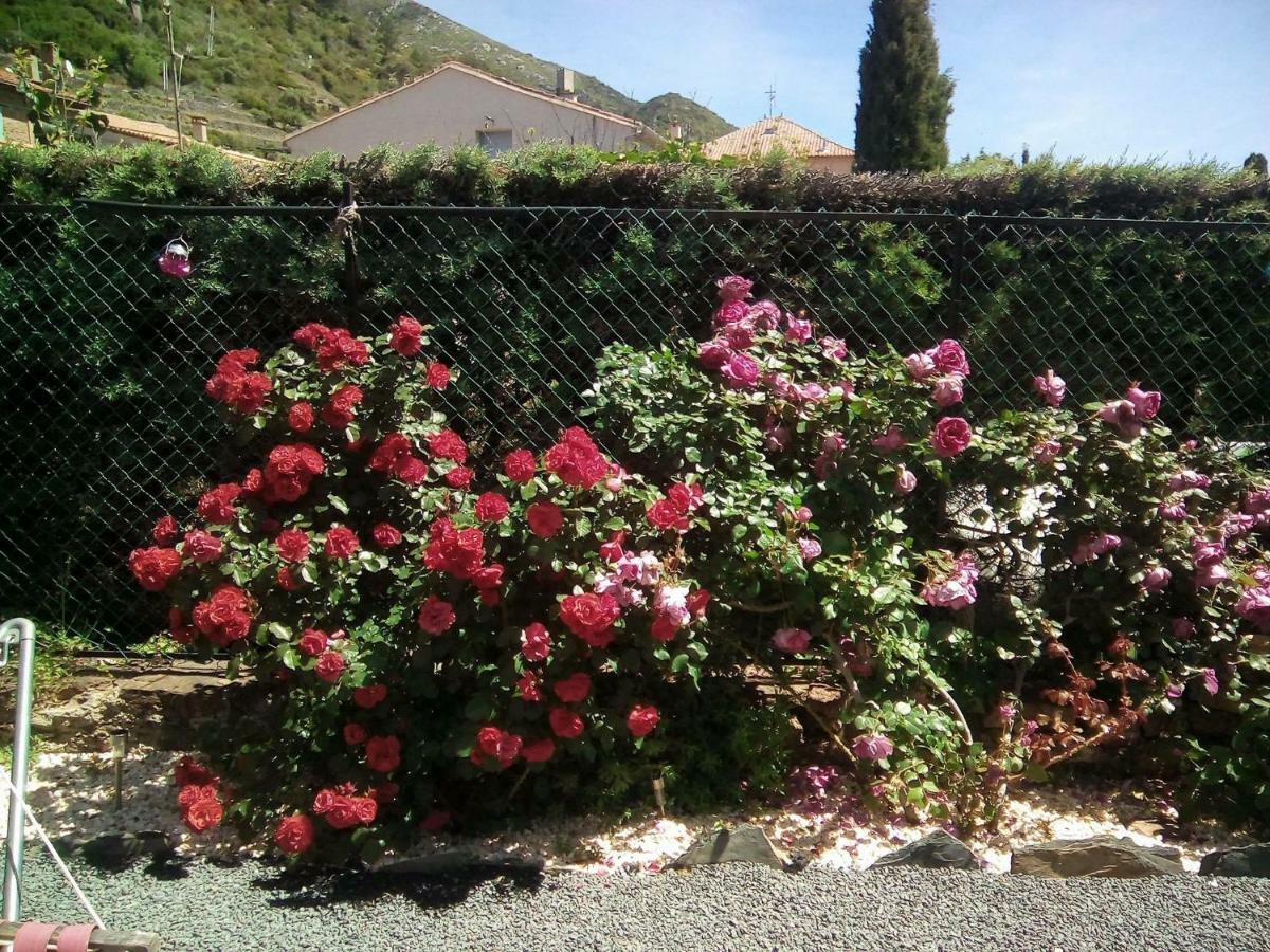 La Vie En Rose, Chambres D'Hotes- B&B Roquebrun Exteriör bild